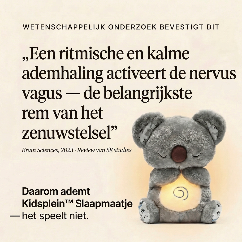 Kidsplein™ Slaapmaatje