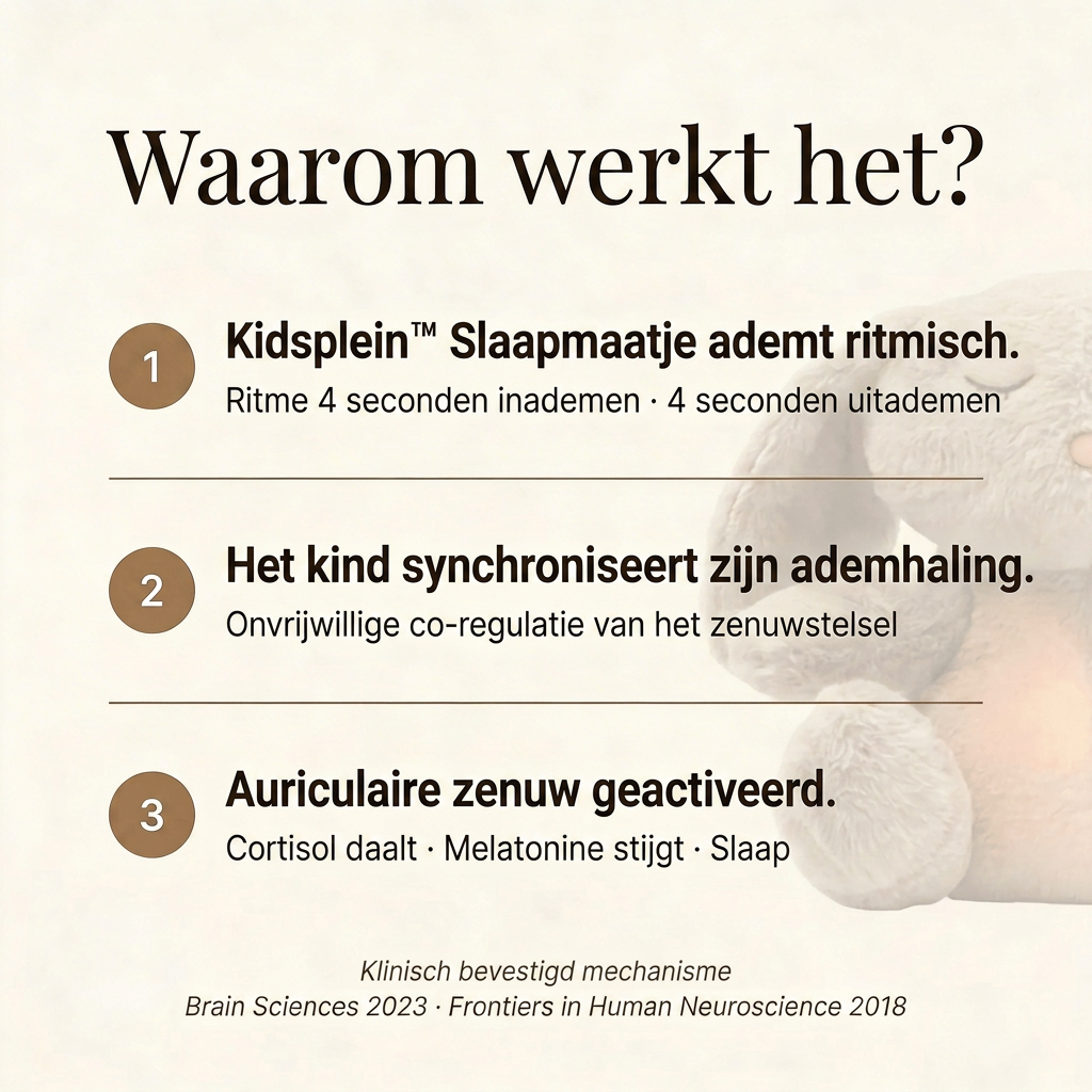 Kidsplein™ Slaapmaatje